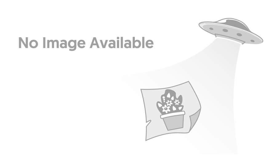 Edible Arrangements® Fruit Baskets, Bouquets & Gift Delivery